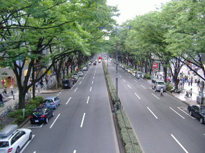 Omotesando Street